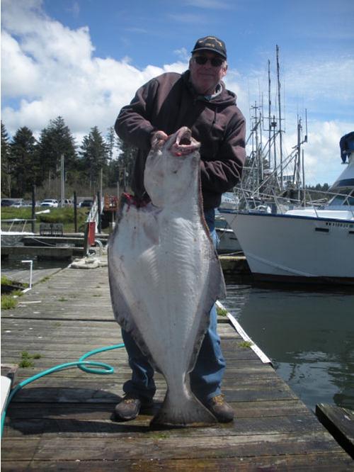 Halibut Bottom Fishing Washington Halibut Bottom Fishing Washington